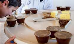 Alliance for Coffee Excellence e M-Cultivo lançam mercado on-line de cafés etíopes