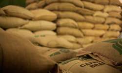 Em 2023, exportações brasileiras de café alcançaram 39 milhões de sacas