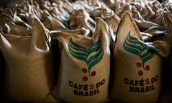 Brasil exporta 3,961 milhões de sacas de café em janeiro
