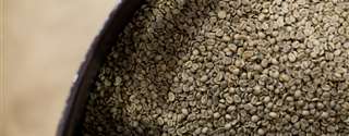 Boletim Carvalhaes: Consumo de café em alta e falta de estoques de segurança