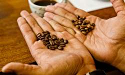 Aumentam vendas de café certificado pelo Fairtrade International