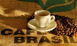 Para ABIC, consumo de café no Brasil deve crescer 3,5% em 2013