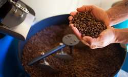 Estudo indica dificuldade do Brasil em exportar café com valor agregado