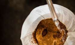 Demanda de café cria lacuna ecológica e econômica em países pobres