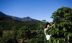 Manhuaçu sedia Simpósio de Cafeicultura das Matas de Minas