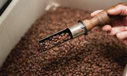 Colômbia registra aumento de exportadores de café em maio