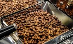 México pode recuperar liderança na indústria de café: Sagarpa