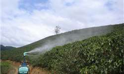 Alternativas para reduzir o uso da mão de obra na cafeicultura de montanha