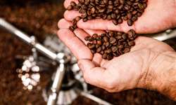 Cafeicultor revela principais desafios de torrar o próprio café em Workshop