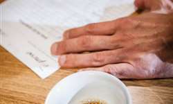 Consumo moderado de café pode prevenir Alzheimer, afirma estudo
