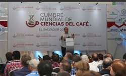 Evento em El Salvador sugere estudos sobre cafés resistentes à ferrugem