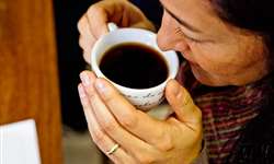 Estudo revela comportamentos dos consumidores de café