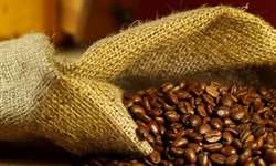 Bureau diz que tendência de queda do café reflete oferta mundial