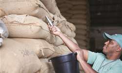 No mês de agosto foram exportadas 2,256 milhões de sacas de café