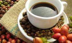 Valorização do café alimenta rede de serviços e produtos que prosperam no entorno do grão