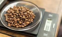 Relatório Project Café avalia mercado de café dos EUA em US$ 45,4 bilhões