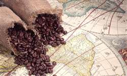 Colômbia: Preço da carga de café aumentou em 54,5% esse ano