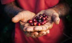 Etiópia busca exportar grãos de café