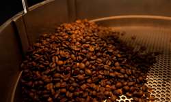 USDA prevê queda de 5,4 milhões de sacas na produção mundial de café