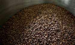 Especialista do Rabobank considera pequena a possibilidade de alta nas cotações do café