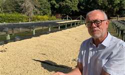 Impactos ambientais do processamento de café cereja