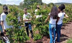 Emater-MG realiza capacitação em cafeicultura para jovens rurais de Guapé (MG)