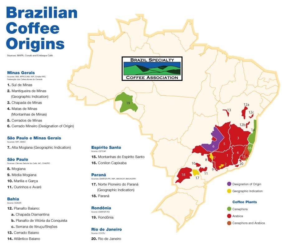 Mapa das origens produtoras do grão no Brasil