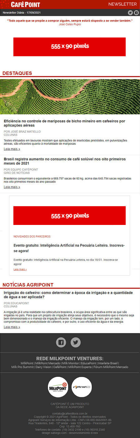 Formato Newsletter Anuncie