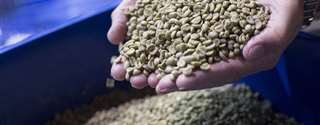 Ásia & Oceania registram aumento nas exportações de café em março de 2022