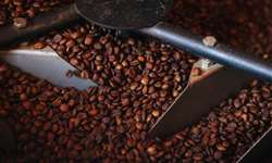 Café volta a registrar leve valorização nos principais contratos na Bolsa de NY