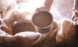 Preço do café arábica recua 1,12% na Bolsa de Nova York