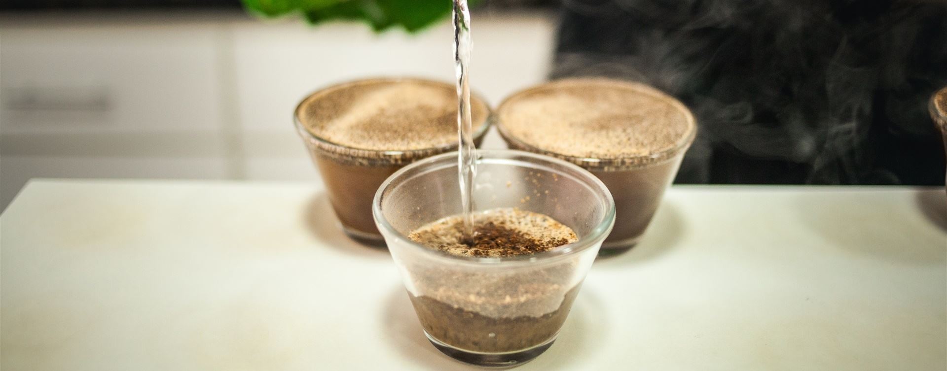 Inscrições abertas para 6ª edição do Cupping ATeG Café+Forte