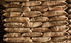 Mercado do café encontra suporte na queda dos estoques e na baixa da produção colombiana