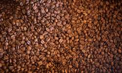 Brasil exporta 2,4 milhões de sacas de café no primeiro mês do ano safra 2022/2023