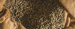 Traders tentam recertificar grande volume de café arábica na ICE