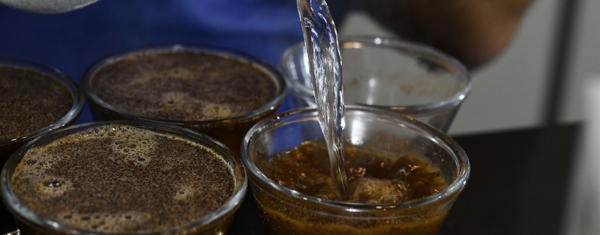 Coffee of The Year 2022: Confira as 180 amostras classificadas!