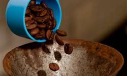 Biotecnologia chilena isola propriedades antioxidantes do café