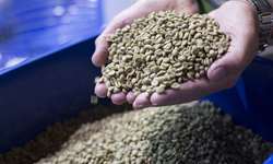 Cooabriel encerra 2022 com volume de exportação superior a 118 mil sacas de café