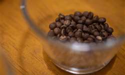 ABIC atua como entidade classificadora de café torrado e/ou moído