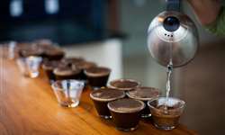Cooabriel investe na construção de sala de provas de café