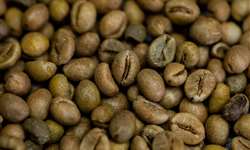 Estados Unidos registra menor estoque de café verde em seis meses