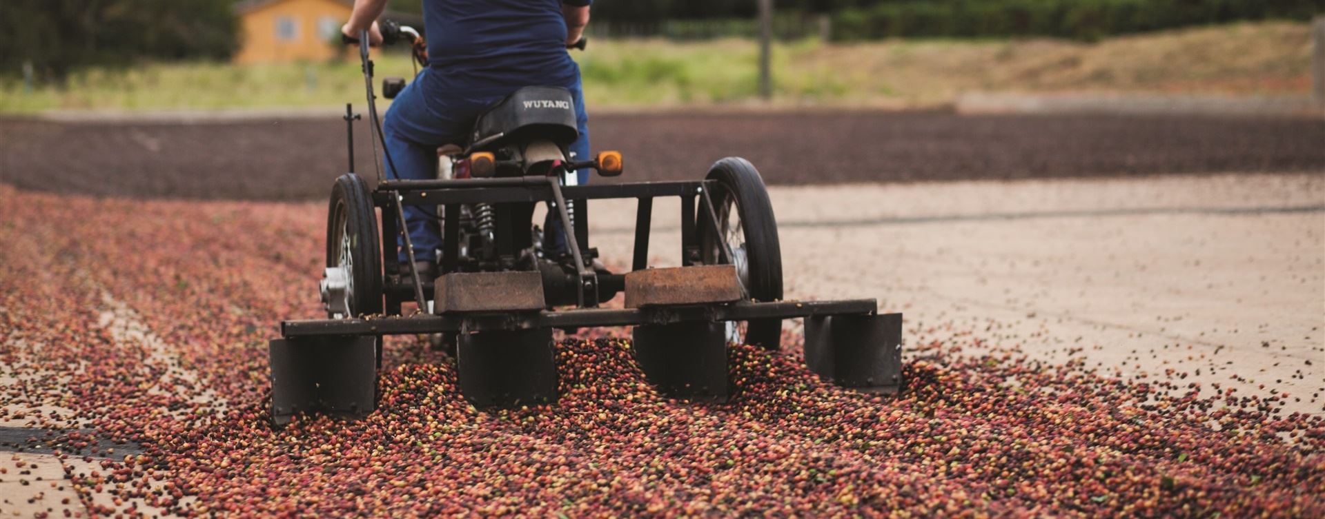 6ª edição da Feira do Cerrado reúne produtores de café em Monte Carmelo (MG)