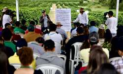 Dia de Campo em Franca (SP) apresenta resultados de pesquisas realizadas na Fazenda Experimental