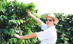 Cooperado da Expocaccer é destaque pelas práticas regenerativas realizadas na cafeicultura