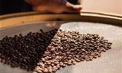 Brasil registra 2,7 milhões de sacas de café exportadas em abril de 2023