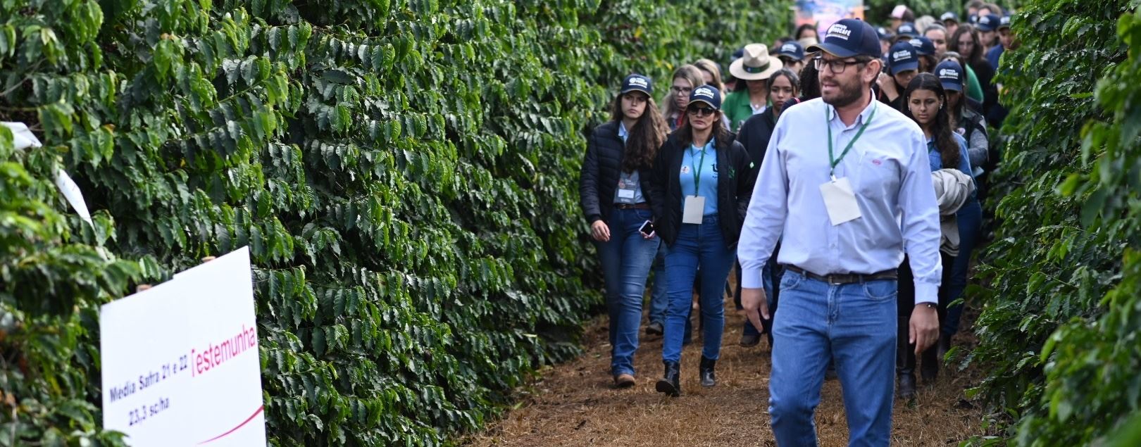 Fundação Procafé realiza Dias de Campo e reúne mais de 2 mil pessoas em Varginha (MG)
