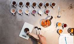 Associação Brasileira da Indústria de Café (Abic) realiza ações para fortalecer indústria nacional