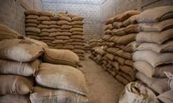 Brasil registra alta de 19% e exporta 3 milhões de sacas de café em julho