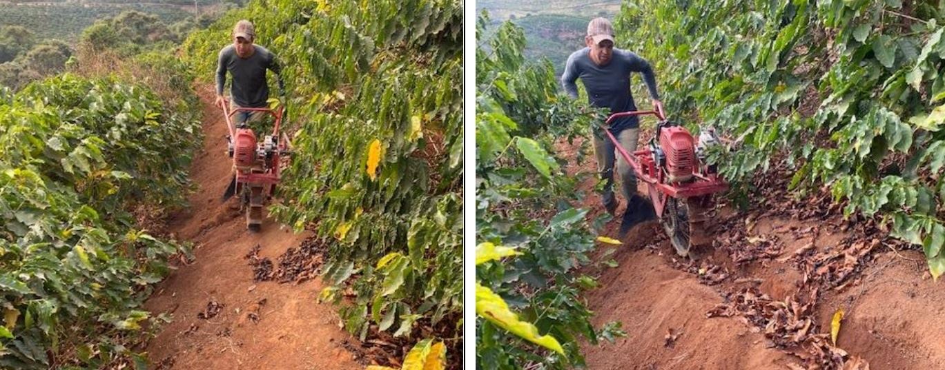 Burrinho mecânico: Equipamento facilita o manejo de cafezais em montanhas