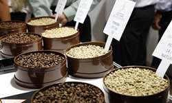 Semana Internacional do Café reúne setor produtivo em BH